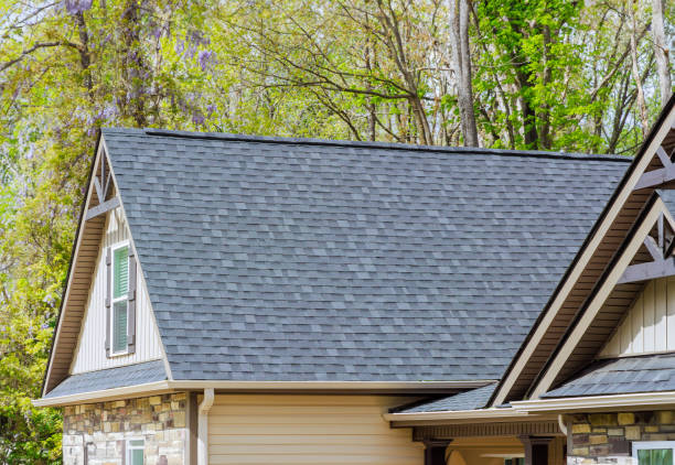 Roof Moss and Algae Removal